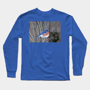 Eastern Bluebird Long Sleeve T-Shirt